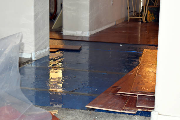 Professional Water Damage Restoration technician working in Athol, ID